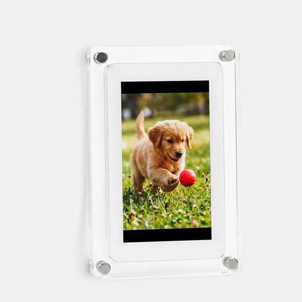 Digital Photo & Video Frame