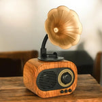 Nostalgia Gramophone Bluethooth Speaker