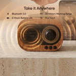 Nostalgia Gramophone Bluethooth Speaker